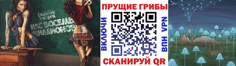 где купить наркоту МЕГА сайт Галлюциногенные грибы прущие грибы мориарти состав Торопец